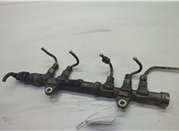  Рампа (рейка) топливная Fiat Doblo 2009-2022 20614087 #1