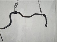 31356758301 Стабилизатор подвески (поперечной устойчивости) Mini Cooper (R50 / 53) 2001-2006 20614586 #1