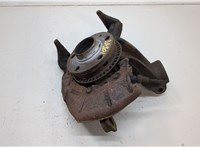  Ступица (кулак, цапфа) Seat Toledo 2 1999-2004 20614776 #1