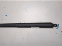 51247286116, 7286116 Амортизатор крышки багажника BMW X5 E70 2006-2013 20615411 #1