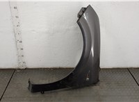  Крыло Renault Scenic 2003-2009 20615967 #1