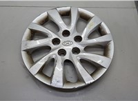  Колпак колесный Hyundai Elantra 2010-2016 20616142 #1