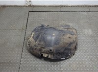 8200136724 Защита арок (подкрылок) Renault Scenic 2003-2009 20616247 #1
