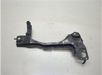  Кронштейн (лапа крепления) Lexus LS460 2006-2017 20616537 #1