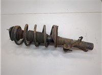  Амортизатор подвески Ford Transit (Tourneo) Connect 2002-2013 20616769 #1