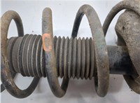  Амортизатор подвески Ford Transit (Tourneo) Connect 2002-2013 20616769 #3