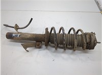 1329536, 2S6118146DA Амортизатор подвески Ford Fiesta 2001-2007 20616863 #1