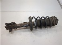 51796546, 55703711 Амортизатор подвески Fiat Grande Punto 2005-2010 20616927 #1