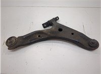5450226000 Рычаг подвески Hyundai Santa Fe 2000-2006 20617400 #1