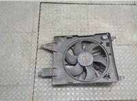  Вентилятор радиатора Renault Megane 2 2002-2009 20617541 #1