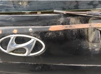  Ручка крышки багажника Hyundai Santa Fe 2000-2006 11511154 #11