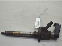 9657144580 Форсунка топливная Ford Focus 2 2008-2011 20618253 #1