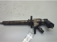  Форсунка топливная Ford Focus 2 2005-2008 20618423 #1