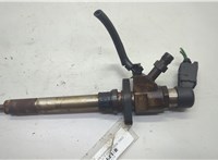  Форсунка топливная Ford Focus 2 2005-2008 20618429 #1