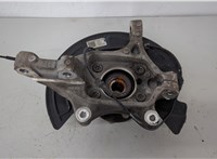 51750S1000, 51711S9200, 51756S1800 Ступица (кулак, цапфа) KIA Telluride 20619532 #3