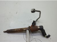 LR004563 Форсунка топливная Land Rover Range Rover Sport 2005-2013 20619699 #1