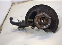  Ступица (кулак, цапфа) Infiniti QX80 2014-2017 20617154 #1