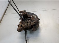 432023JA0B, 430193JA0A, 44030WL001 Ступица (кулак, цапфа) Nissan Pathfinder 2012-2020 20619856 #1