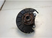  Ступица (кулак, цапфа) Volkswagen Passat CC 2008-2012 20619897 #1