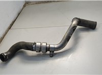  Патрубок интеркулера Renault Scenic 2003-2009 20620305 #1
