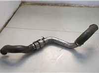  Патрубок интеркулера Renault Scenic 2003-2009 20620305 #2
