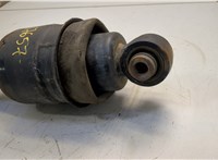562111LA4A Амортизатор подвески Infiniti QX80 2014-2017 20620995 #2