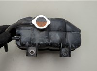  Бачок расширительный Infiniti QX80 2014-2017 20621256 #2