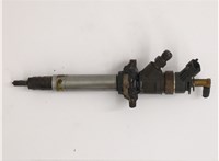  Форсунка топливная Peugeot 308 2007-2013 20621631 #1