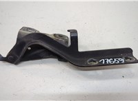 654013KA1A Петля капота Nissan Pathfinder 2012-2020 20621758 #1