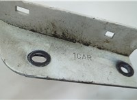 654001CA0A Петля капота Infiniti FX 2008-2013 20621803 #3