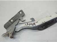 654011CA0A Петля капота Infiniti FX 2008-2013 20621806 #1