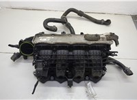  Коллектор впускной Volkswagen Jetta 7 2018-2025 20621812 #1