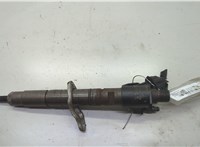 36001113, 31303238, 0445116046 Форсунка топливная Volvo S80 2006-2016 20621880 #1