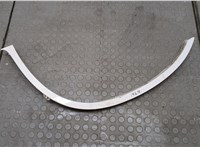  Молдинг крыла BMW X6 E71 2007-2014 20622328 #1