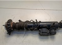 37126788765 Амортизатор подвески BMW X6 E71 2007-2014 20623001 #1