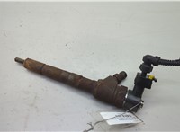  Форсунка топливная Opel Corsa D 2006-2014 20623962 #1