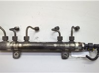  Рампа (рейка) топливная Opel Corsa D 2006-2014 20623966 #1