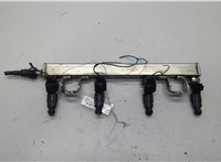  Форсунка топливная Ford Fiesta 2001-2007 20624662 #1