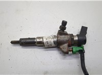  Форсунка топливная Citroen C5 2008-2017 20624909 #1