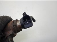  Форсунка топливная Citroen C5 2008-2017 20624909 #2