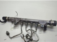 03L130089A Рампа (рейка) топливная Audi A6 (C6) 2004-2011 20625029 #5