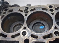 03L103011AL Блок цилиндров (Шорт блок) Volkswagen Transporter 5 2003-2015 20625472 #7
