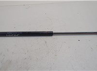  Амортизатор капота Dodge Ram (DR / DH) 2001-2009 20626120 #1