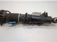  Амортизатор подвески BMW X6 E71 2007-2014 20626421 #1