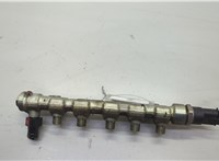  Рампа (рейка) топливная Opel Movano 1998-2010 20626683 #4