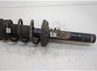 Амортизатор подвески Volkswagen Tiguan 2020- 20627088 #1