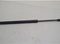  Амортизатор крышки багажника Ford Explorer 2001-2006 20627288 #1