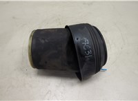  Пневмоподушка BMW X6 E71 2007-2014 20627298 #1