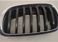  Решетка радиатора BMW X6 E71 2007-2014 20627314 #1