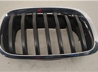  Решетка радиатора BMW X6 E71 2007-2014 20627322 #1